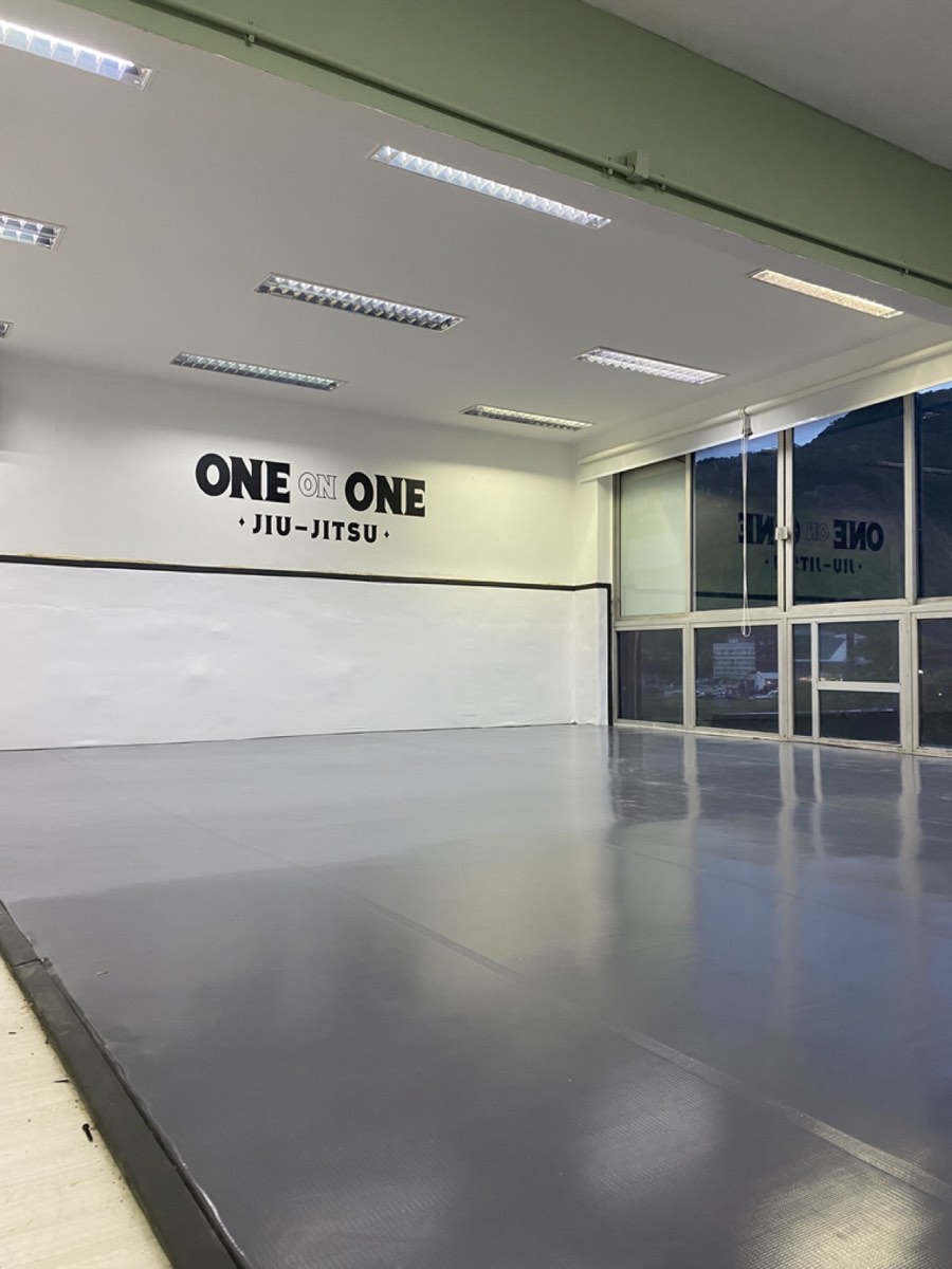 Projeto Gorilonas — tatame lonado 08