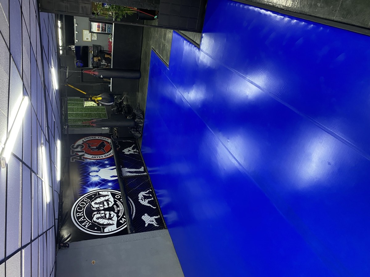Projeto Gorilonas — tatame lonado 13
